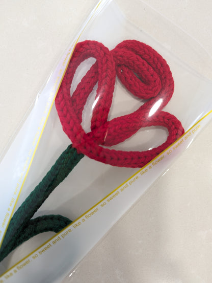 Rose flower